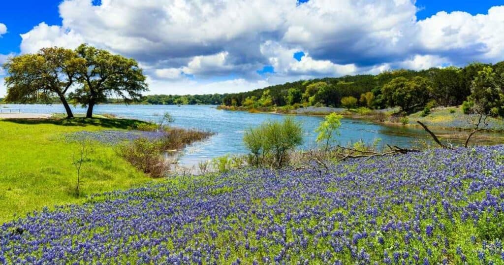 Willow City Bluebonnets, Texas, Place in United States, 5 Best Places to Visit in the USA