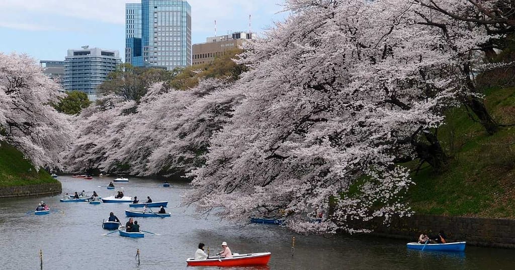 _Sumida River Beautification Park Tokyo