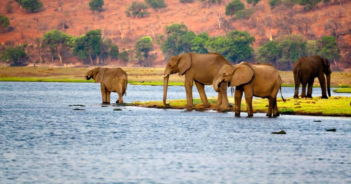 Botswana