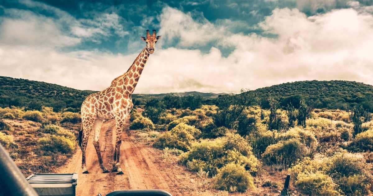 Top Best South African Road Trips to Enliven Your Spirit