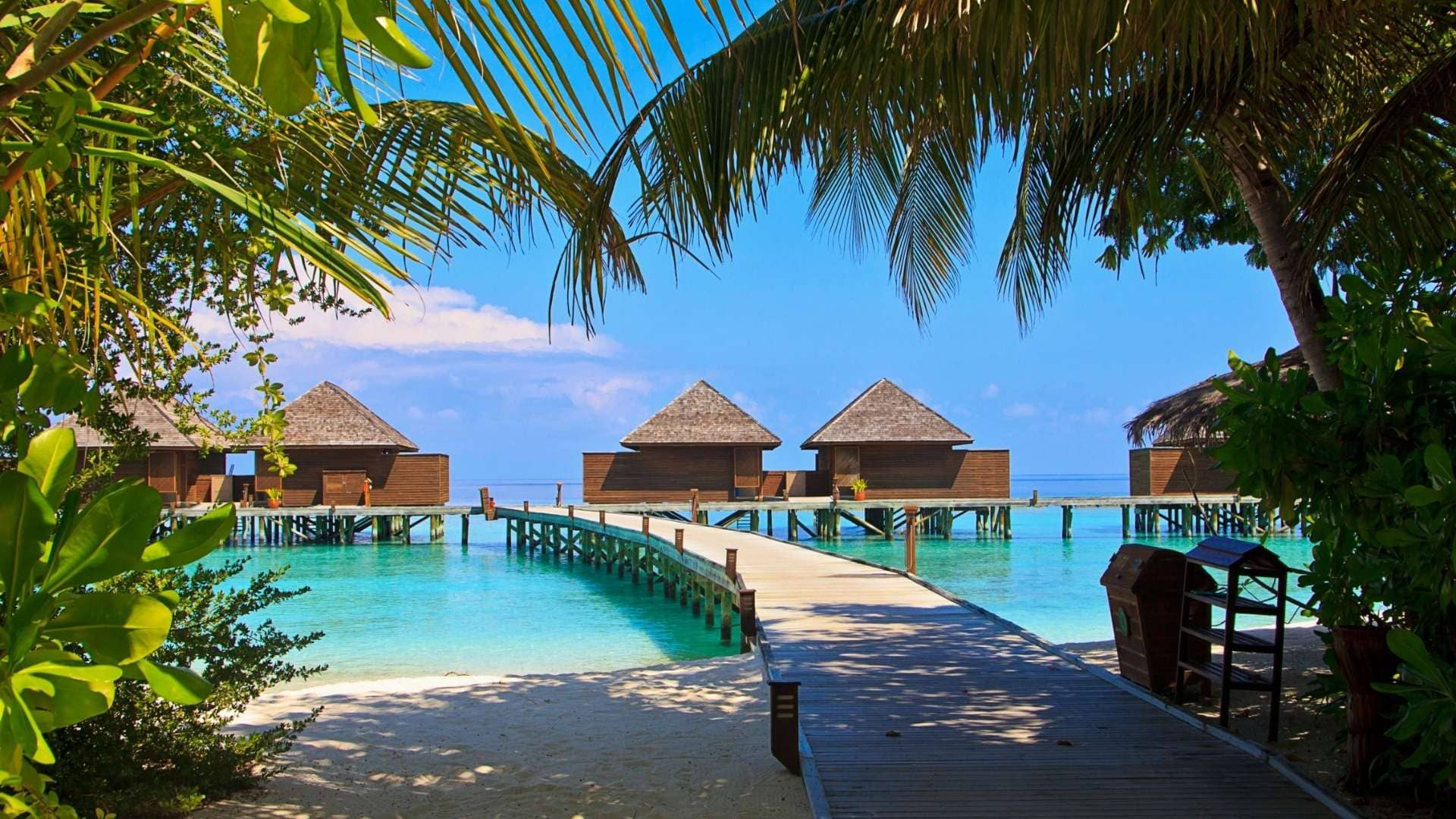 You are currently viewing Best Time to Visit the Maldives 2022