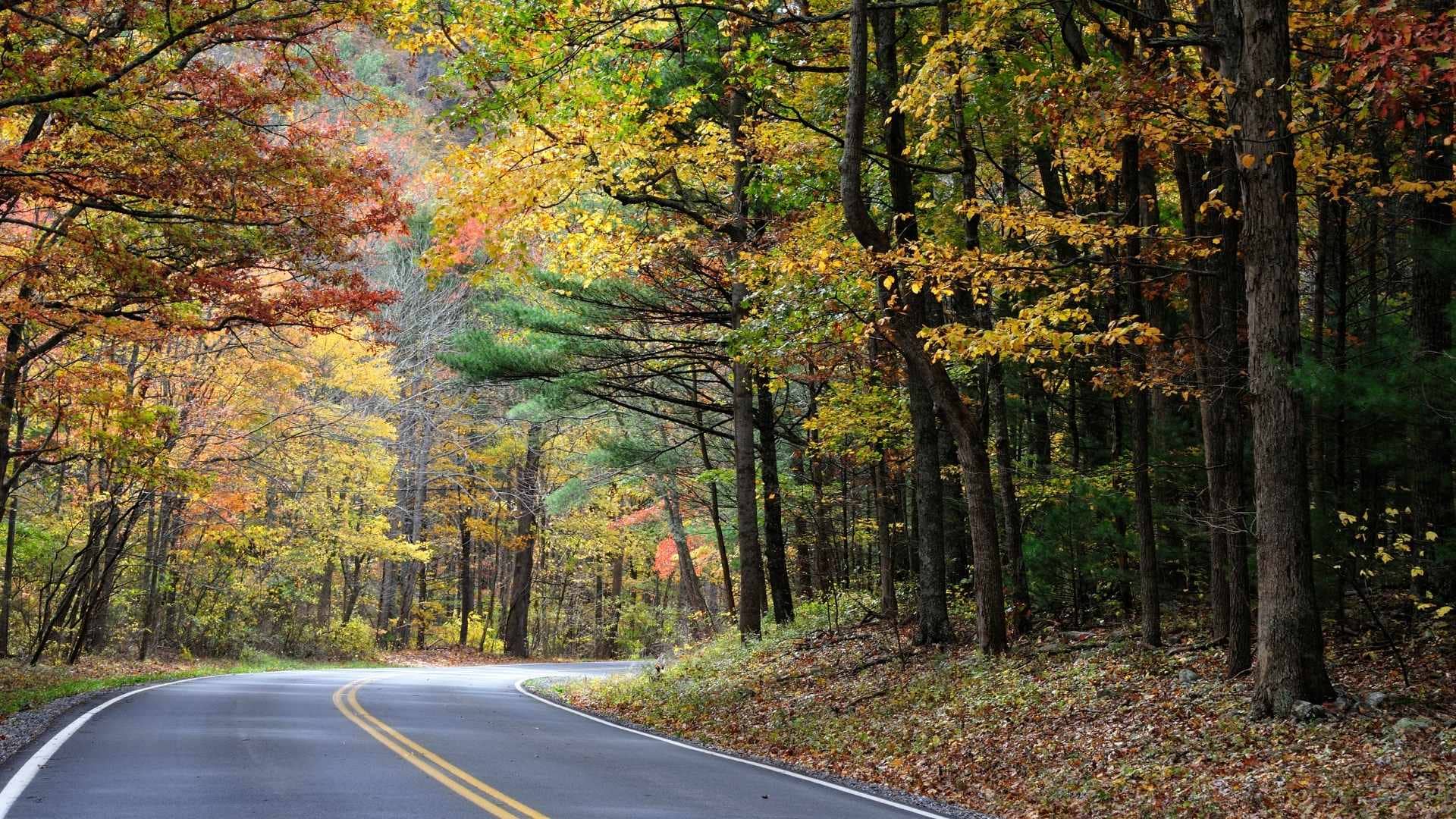 You are currently viewing 10 Must-Do Road Trips in North America